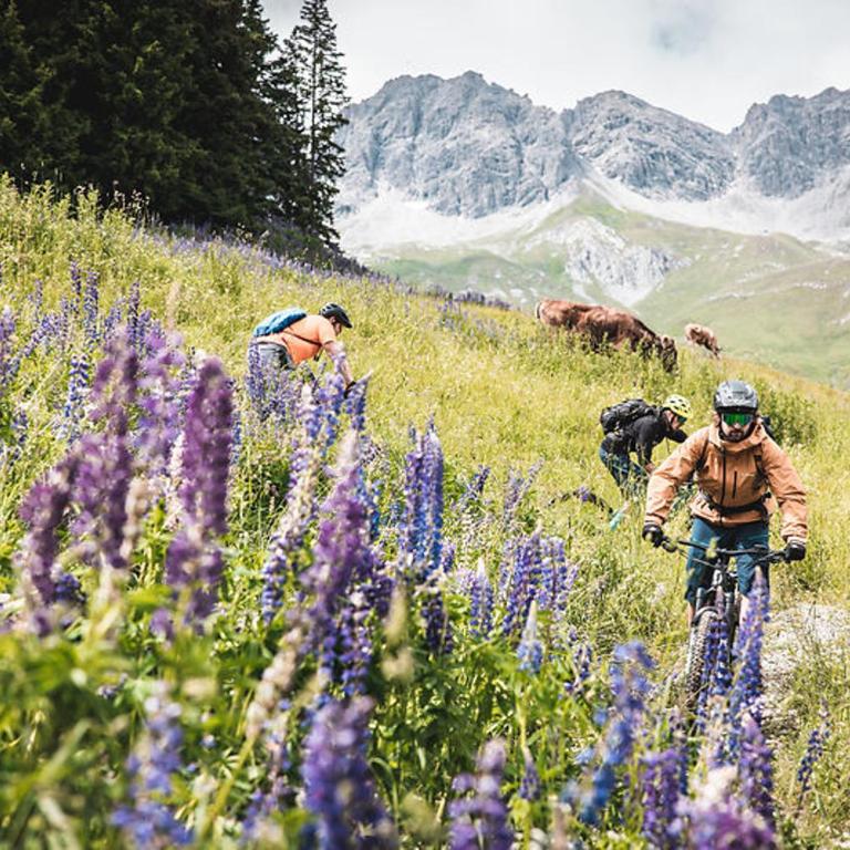 Quality Hosts Arlberg - AFOCH FEI - das Landhaus I SOMMERKARTE PREMIUM - Doppelzimmer mit Balkon - 21