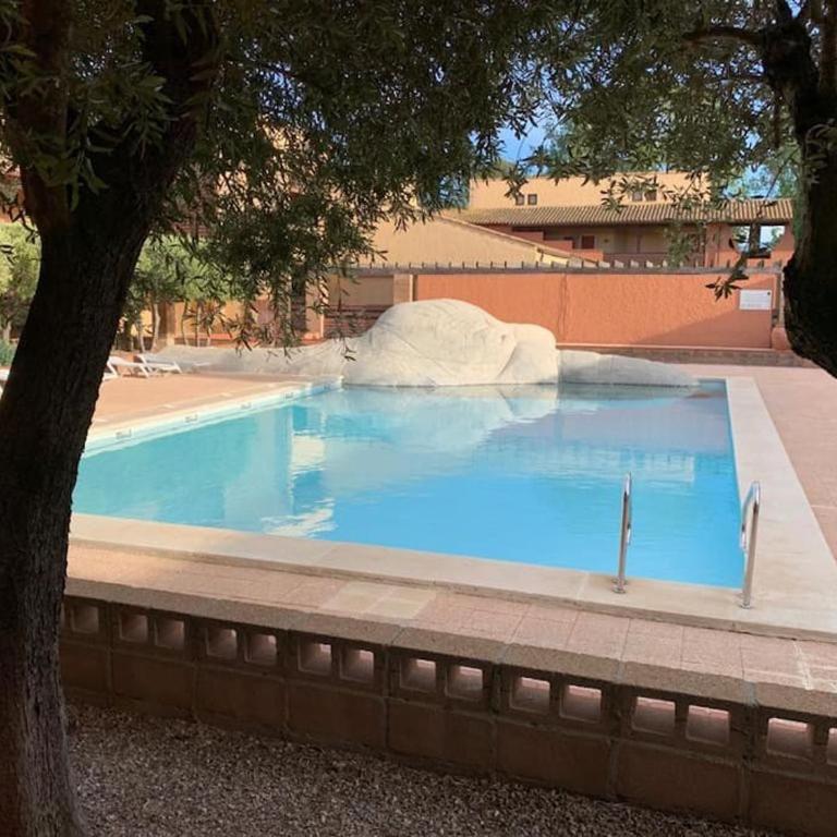 Appartement Saint-Cyprien Plage avec piscine - Apartment mit 1 Schlafzimmer - 1