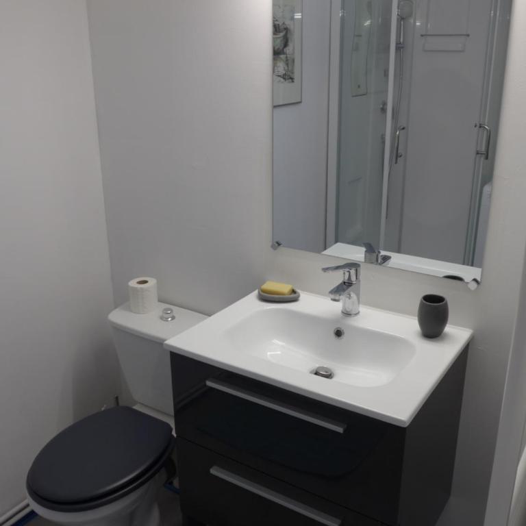 Studio 27m2 centre-ville - Studio Lit Queen-Size - 9