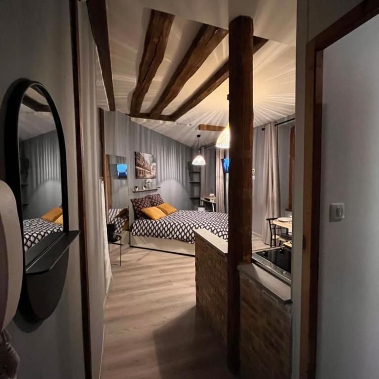 Studio cosy, cité gastronomique - Apartment mit 1 Schlafzimmer - 1
