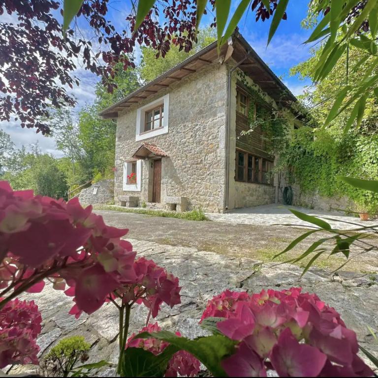 CANGAS DE ONIS RURAL HOUSE WITH VIEWs - Casa - 4