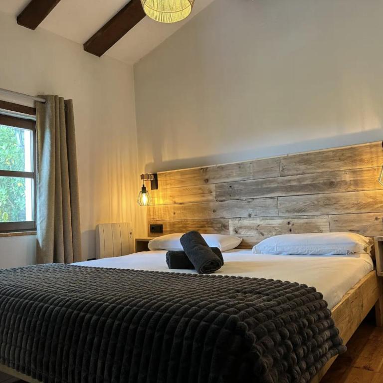 CANGAS DE ONIS RURAL HOUSE WITH VIEWs - Casa - 13
