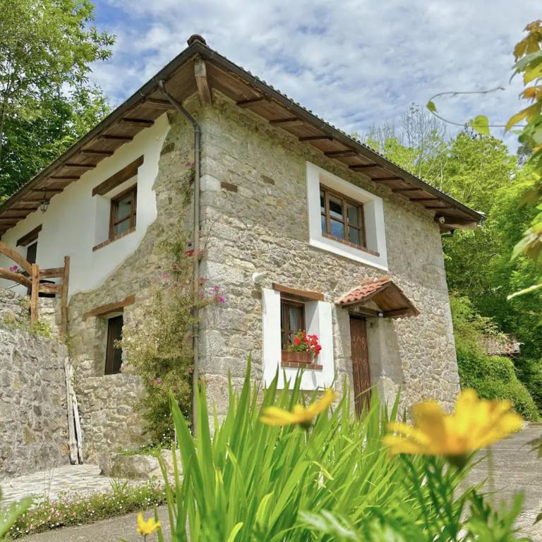 CANGAS DE ONIS RURAL HOUSE WITH VIEWs - Casa - 6