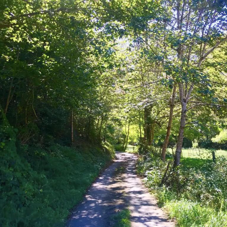 CANGAS DE ONIS RURAL HOUSE WITH VIEWs - Casa - 18
