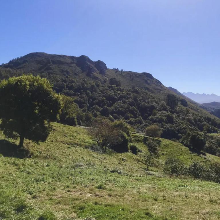 CANGAS DE ONIS RURAL HOUSE WITH VIEWs - Casa - 22