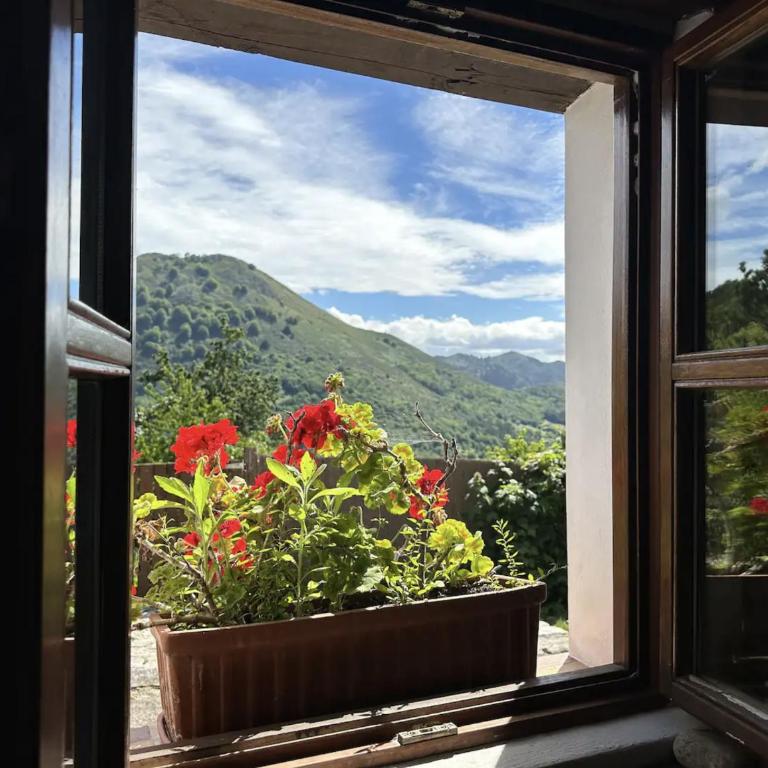 CANGAS DE ONIS RURAL HOUSE WITH VIEWs - Casa - 25