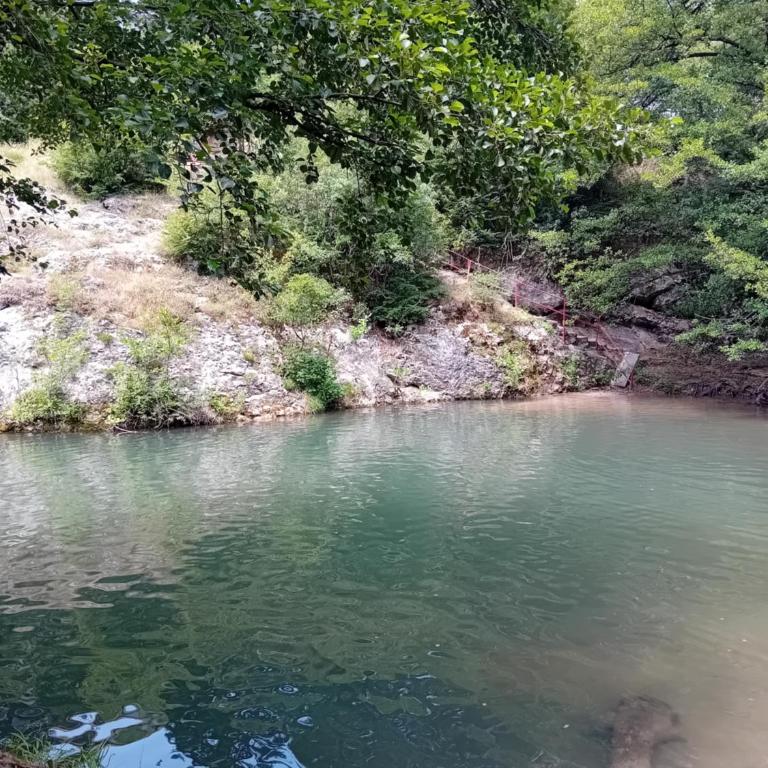 Soko Banjica - Apartman sa 1 Spavaćom Sobom - 9