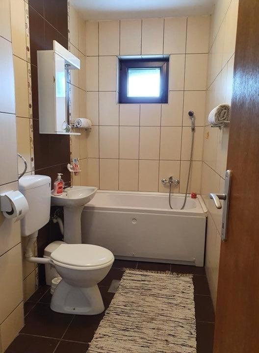 Soko Banjica - Apartman sa 1 Spavaćom Sobom - 12