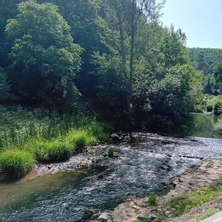 Soko Banjica - Apartman sa 1 Spavaćom Sobom - 13