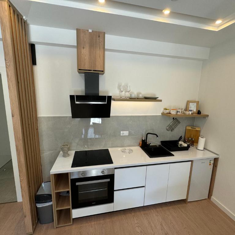 Epicenter Suite - Apartman sa 1 Spavaćom Sobom - 13