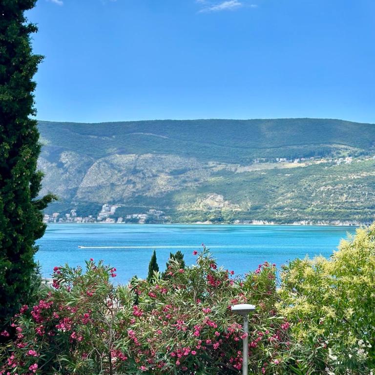 Apartman Đardin - Apartman sa 1 Spavaćom Sobom - 3