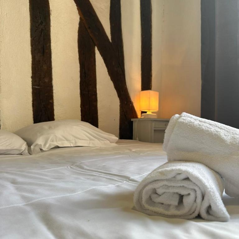 Gîtes Place Plumereau de Tours - One-Bedroom Apartment with View - 1
