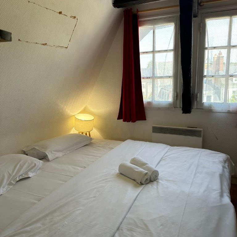 Gîtes Place Plumereau de Tours - One-Bedroom Apartment - 1