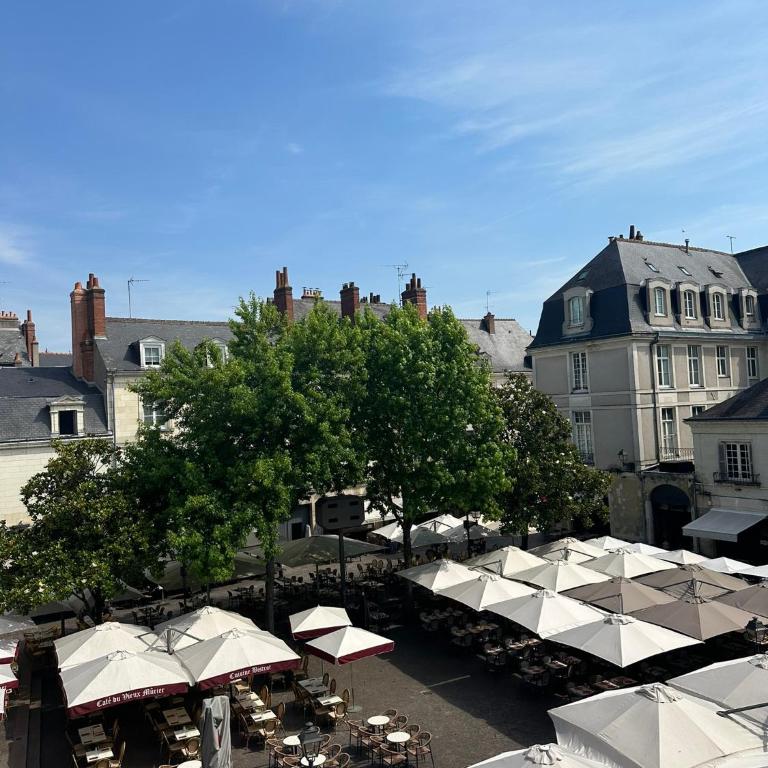 Gîtes Place Plumereau de Tours - One-Bedroom Apartment with View - 6