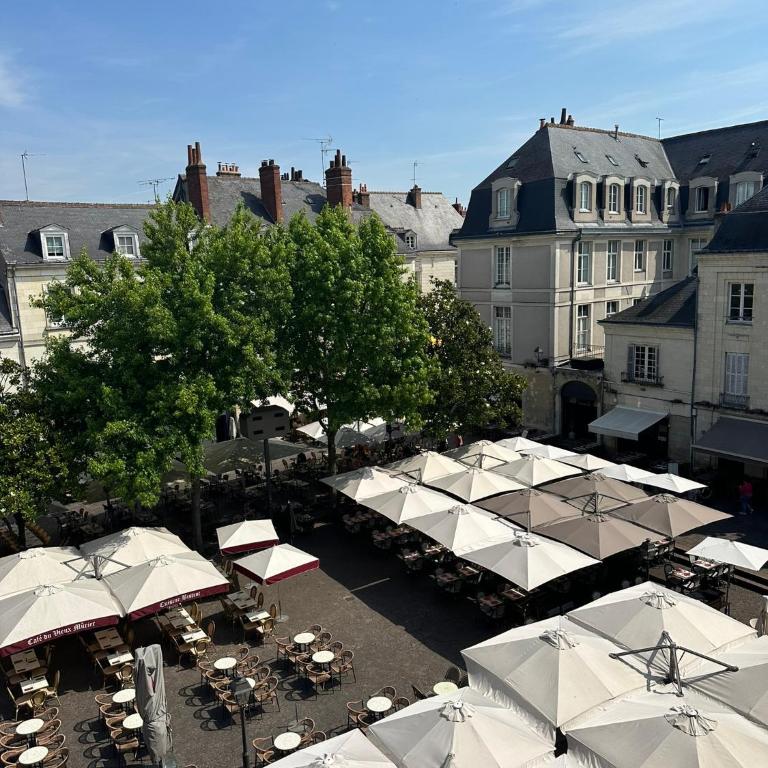 Gîtes Place Plumereau de Tours - One-Bedroom Apartment with View - 10