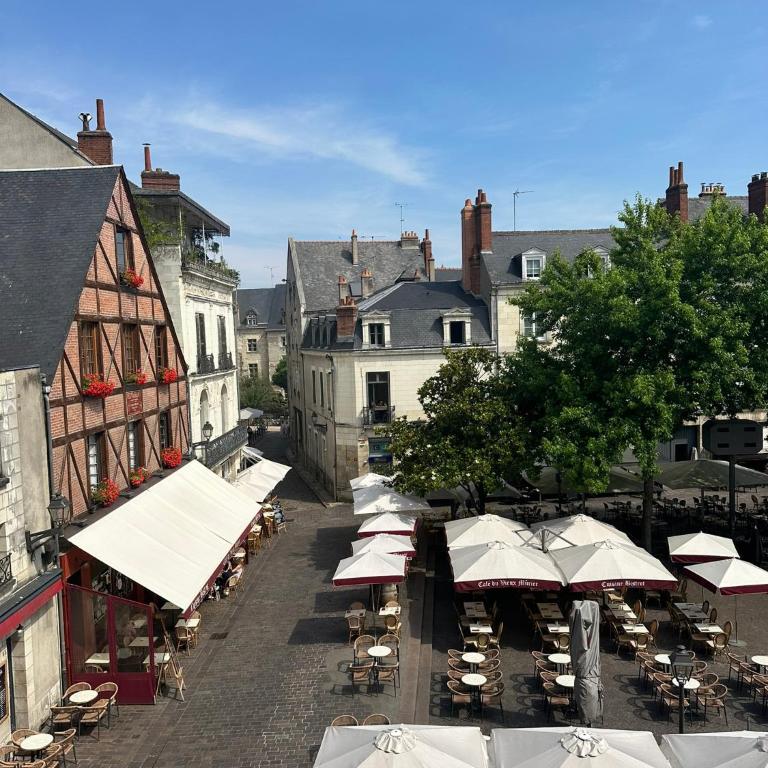 Gîtes Place Plumereau de Tours - One-Bedroom Apartment with View - 13