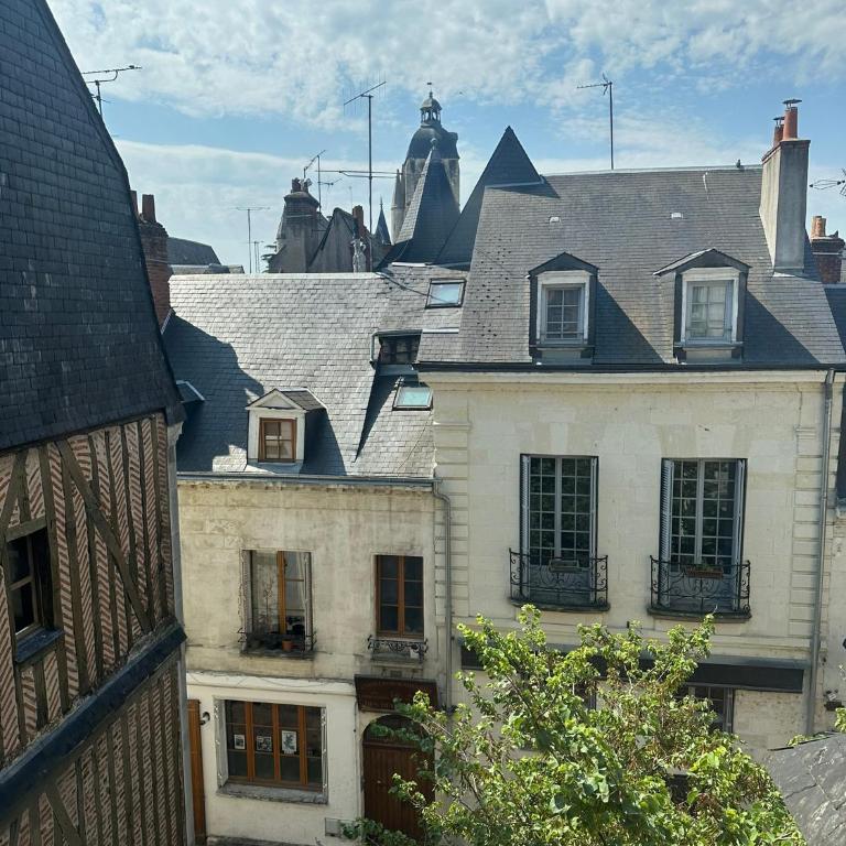 Gîtes Place Plumereau de Tours - One-Bedroom Apartment with View - 14