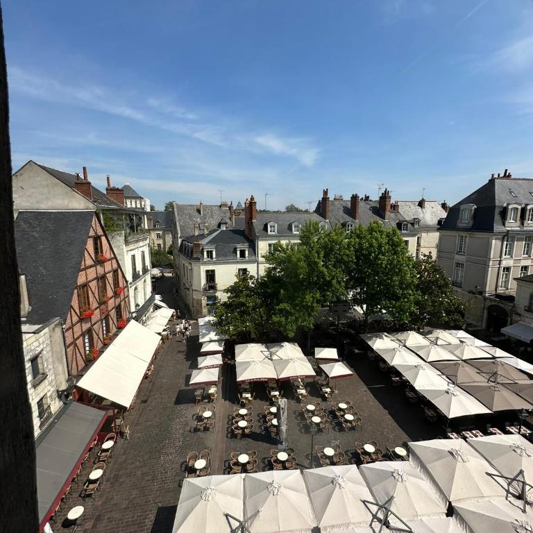 Gîtes Place Plumereau de Tours - One-Bedroom Apartment - 9