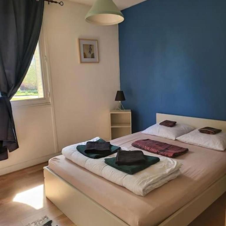 Le Temps d'un Séjour Clermont-Ferrand F3 2 chambres 1 chambre avec 1 lit simple et 1 chambre avec 2 lits doubles et 1 Garage - Appartement 2 Chambres - 9