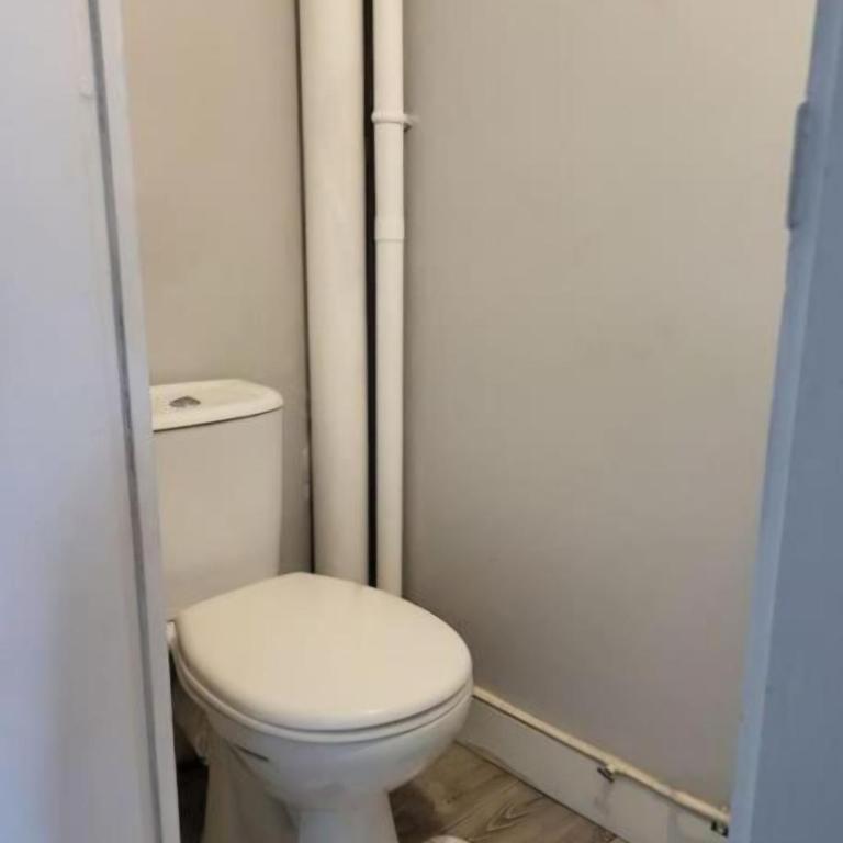 Le Temps d'un Séjour Clermont-Ferrand F3 2 chambres 1 chambre avec 1 lit simple et 1 chambre avec 2 lits doubles et 1 Garage - Appartement 2 Chambres - 17