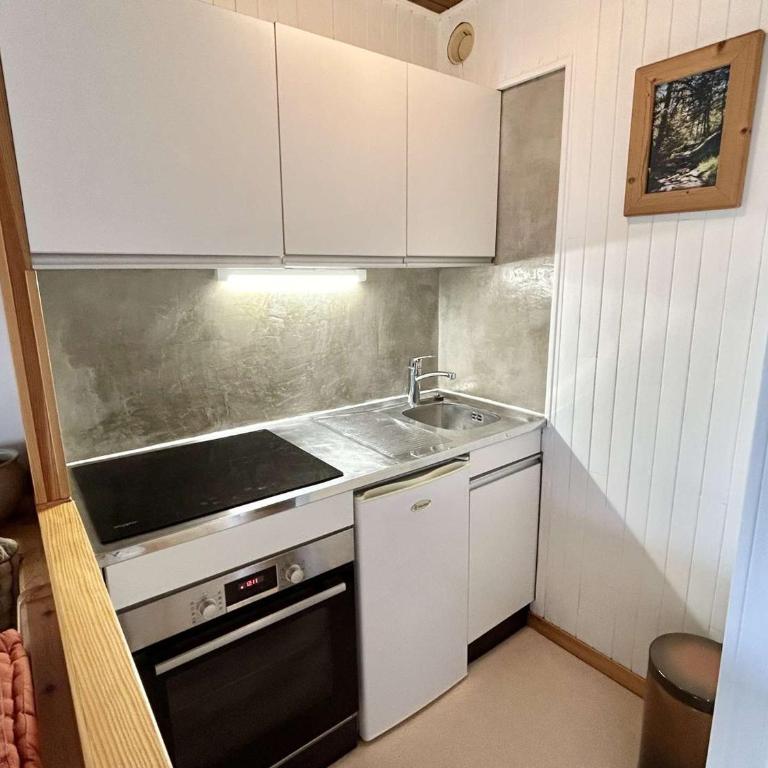 Studio + Alcôve 4 Couchages, Balcon, Parking, Skis - Proche Rochebrune, Megève - FR-1-597-168 - Studio - 11