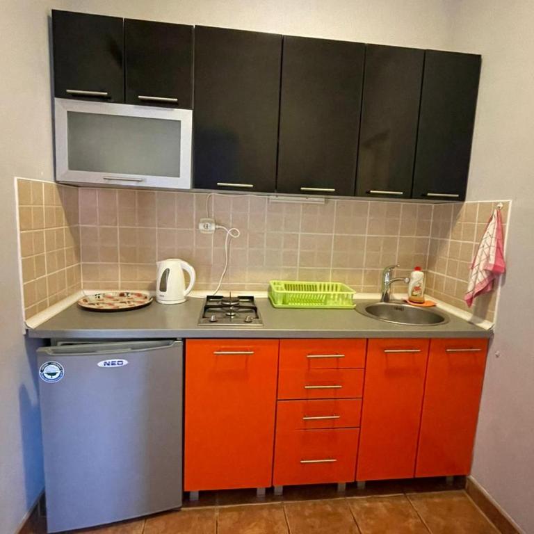 Apartments Villa-G Lustica - Studio s Bračnim Krevetom/Zasebnim Krevetima - 33