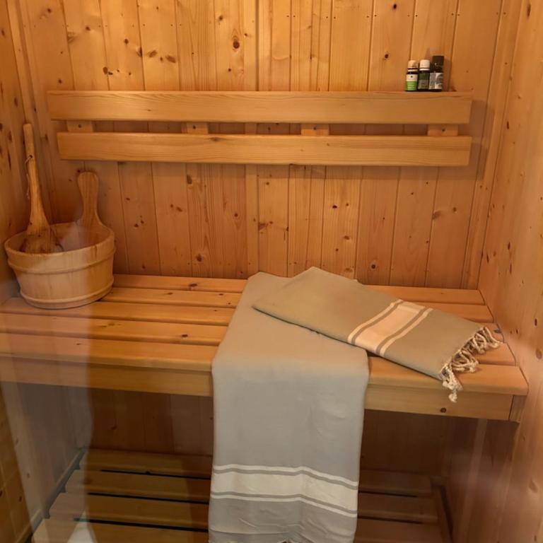 Cosy T2 au Mont Dore Sauna privé et vue montagne proche thermes - Apartment mit Sauna - 11