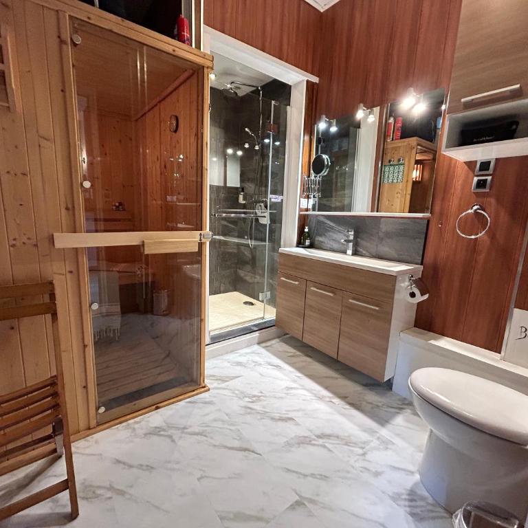 Cosy T2 au Mont Dore Sauna privé et vue montagne proche thermes - Apartment mit Sauna - 10