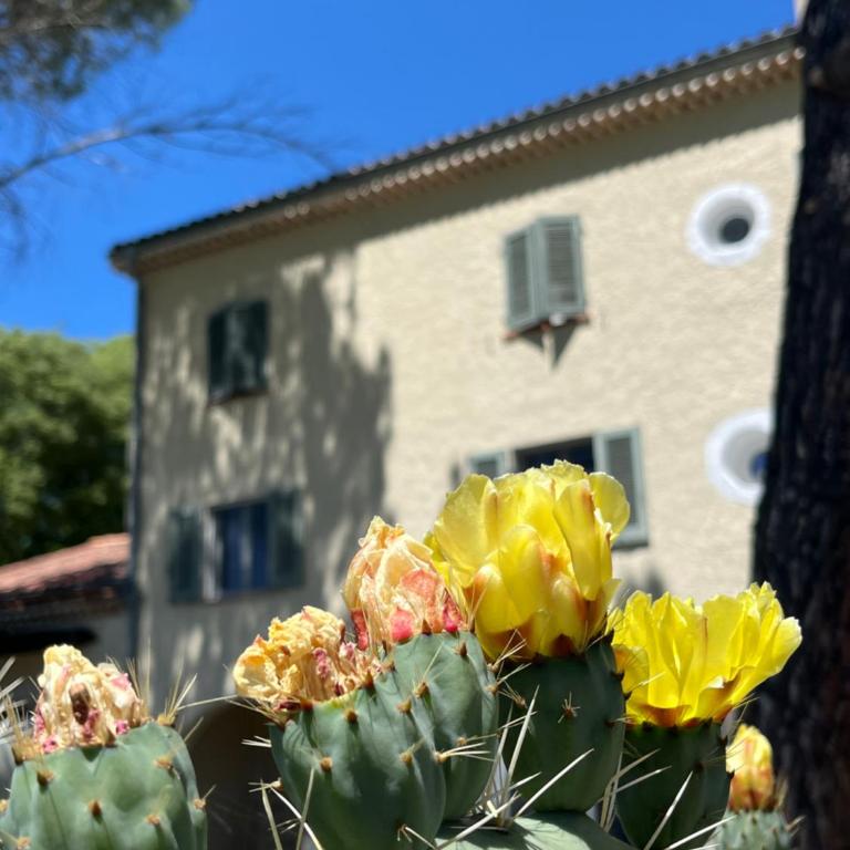 3 pièces au 1er étage dans bastide grassoise - Two-Bedroom Apartment - 18