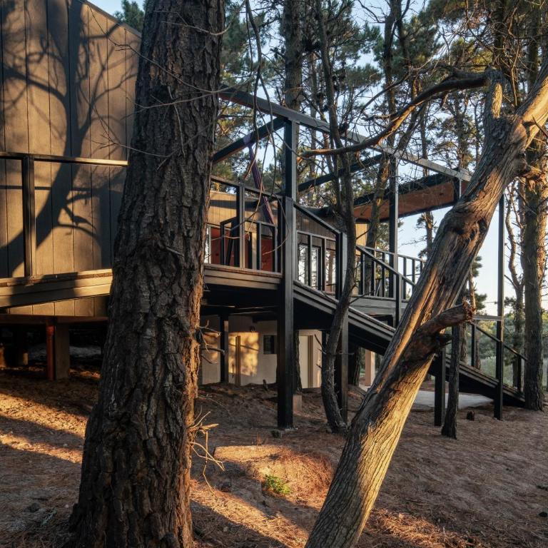 Increible Casa de Diseño en el Bosque! - 8 personas - Mar de las Pampas - Casa de 4 dormitorios - 16