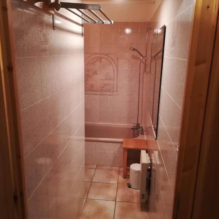 SAMOENS appartement proche du centre - Apartment mit 1 Schlafzimmer - 10
