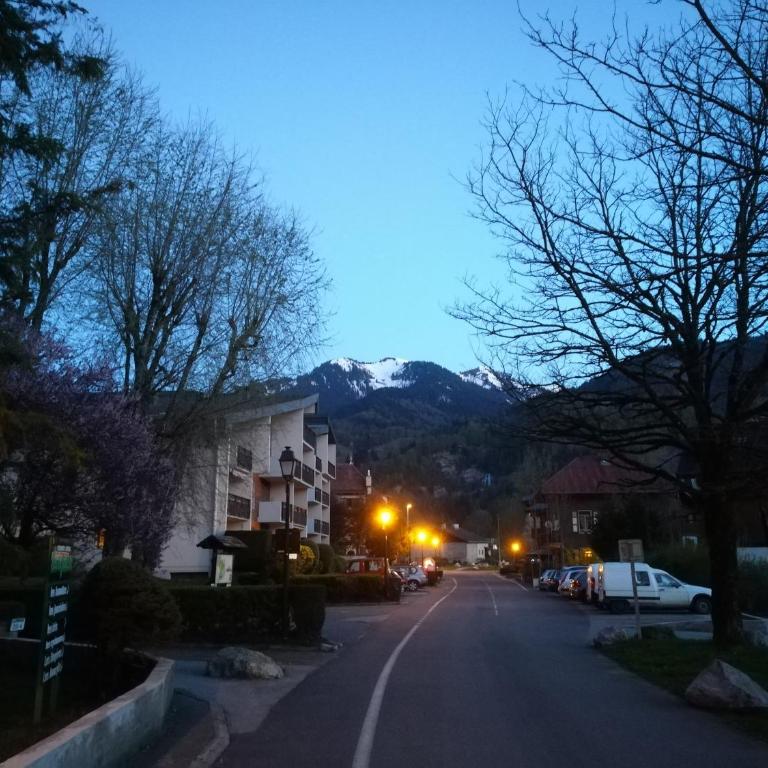 SAMOENS appartement proche du centre - Apartment mit 1 Schlafzimmer - 34