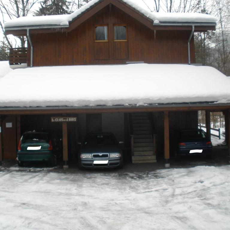 SAMOENS appartement proche du centre - Apartment mit 1 Schlafzimmer - 16