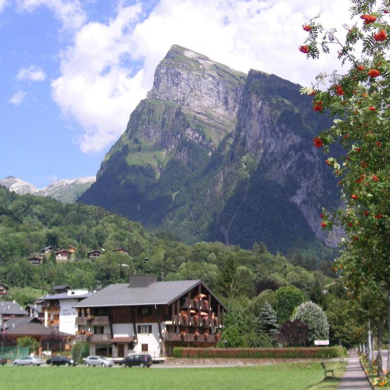 SAMOENS appartement proche du centre - Apartment mit 1 Schlafzimmer - 33
