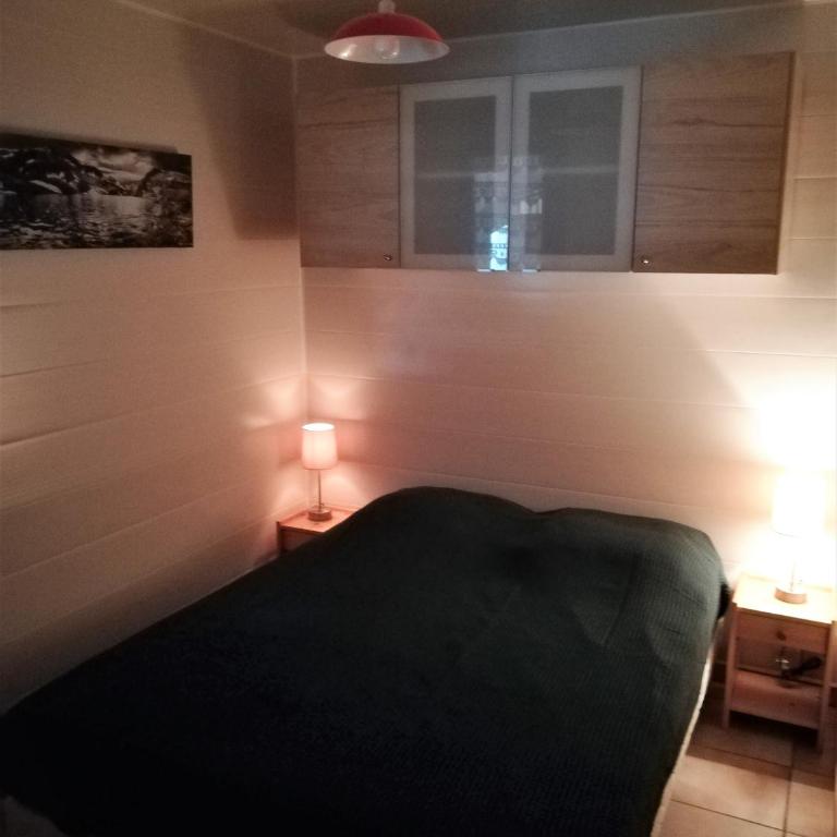 SAMOENS appartement proche du centre - Apartment mit 1 Schlafzimmer - 3