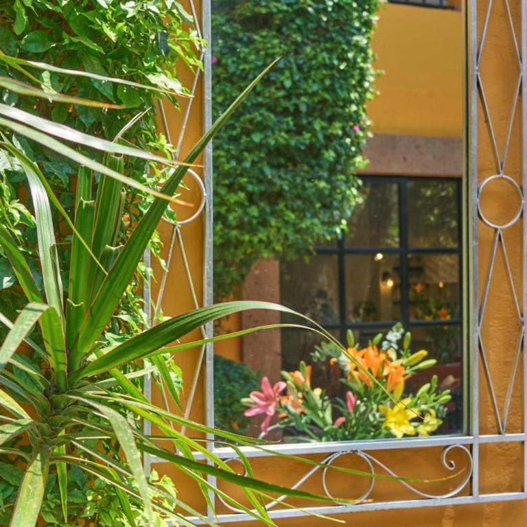 Casa Zaca, 3BR Centro Home with Rooftop & Garden - Three-Bedroom Villa - 37