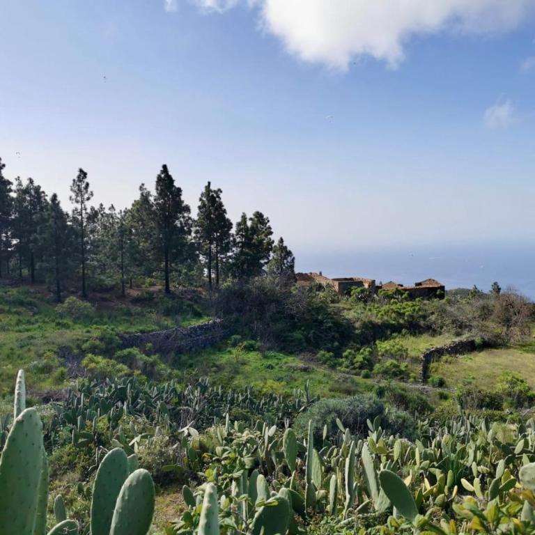 Tierrazul Art Boutique Rose Sweet Suite - Apartamento de 1 dormitorio - 42