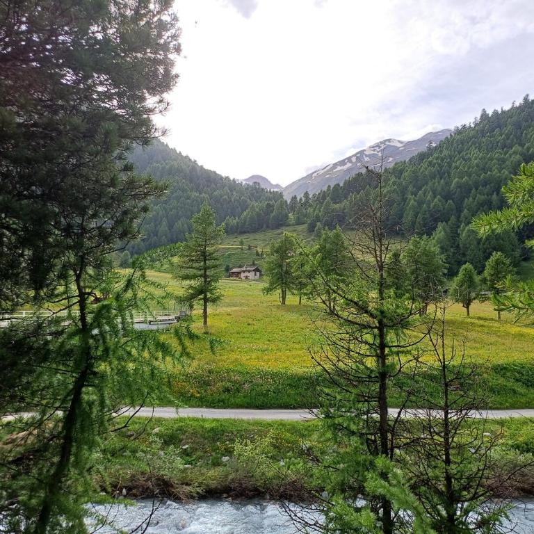 Chalet Renzo Livigno Il lusso del silenzio - Chalet con 2 Camere da Letto - su 2 Livelli - 3