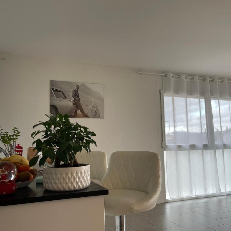 Lake Geneva - Apartment mit 2 Schlafzimmern - 6
