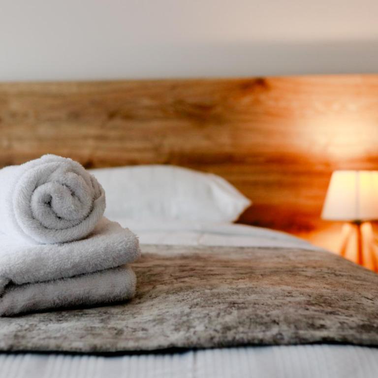 Old Town Lux Apartments Sarajevo - Apartman sa 2 Spavaće Sobe - 12