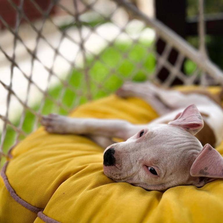 Sweet Home - Two-Bedroom House - 9