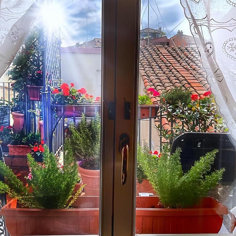 Sonia Campo De' Fiori apartment - Appartamento con 1 Camera da Letto - 20