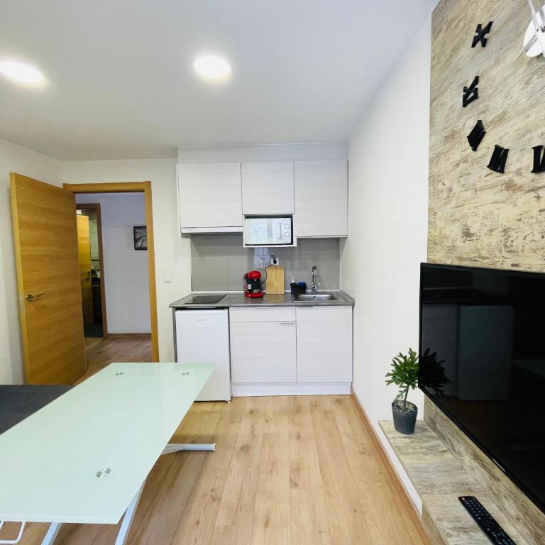 APARTAHOTEL CANFRANC - Apartamento de 1 dormitorio - 13