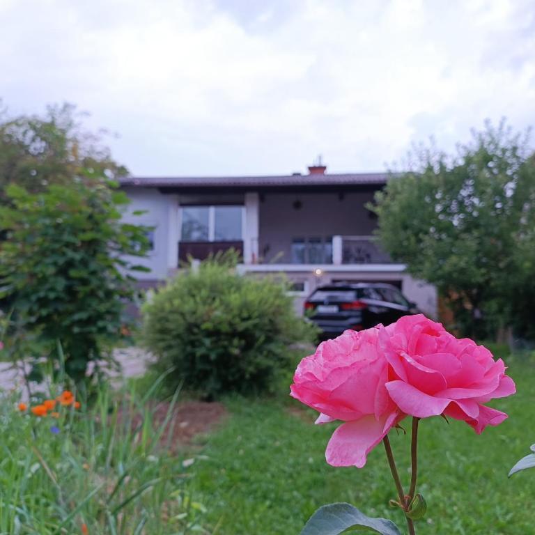 A place to be - Ruhelage mit gratis Parkplatz - Apartment mit 1 Schlafzimmer - 1