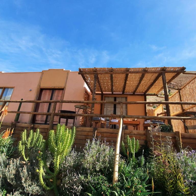 Cabañas "Terrazas de Orión" con Vista Panorámica en Pisco Elqui - Casa de 2 dormitorios - 2