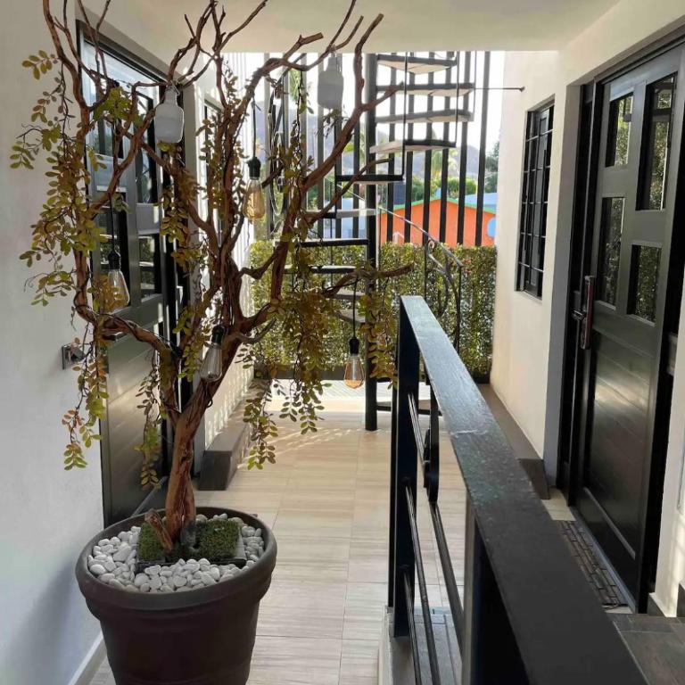 Cabo Lofts - Apartamento de 1 dormitorio - 2