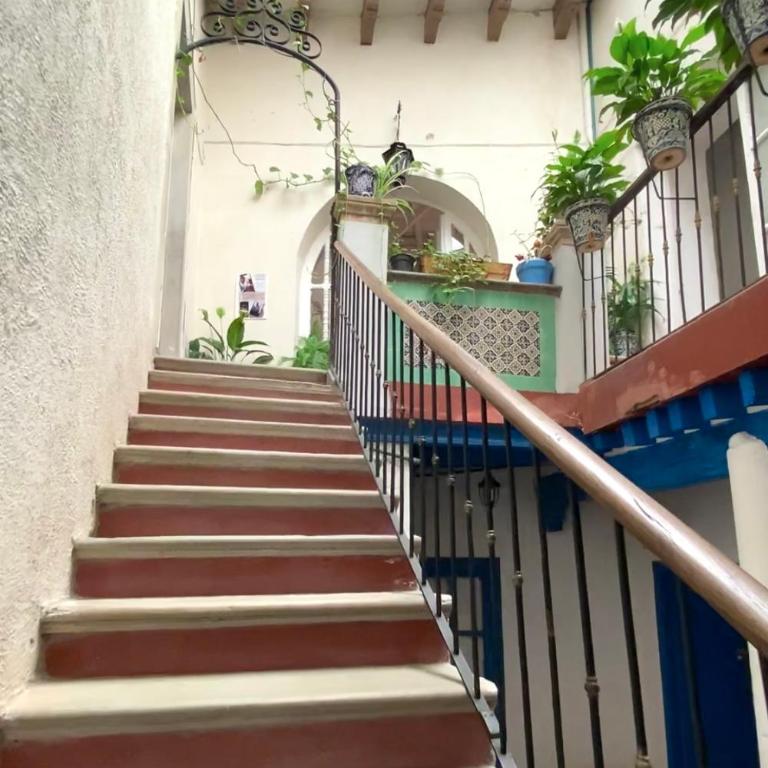 Casa Alonso53 - Five-Bedroom House - 94