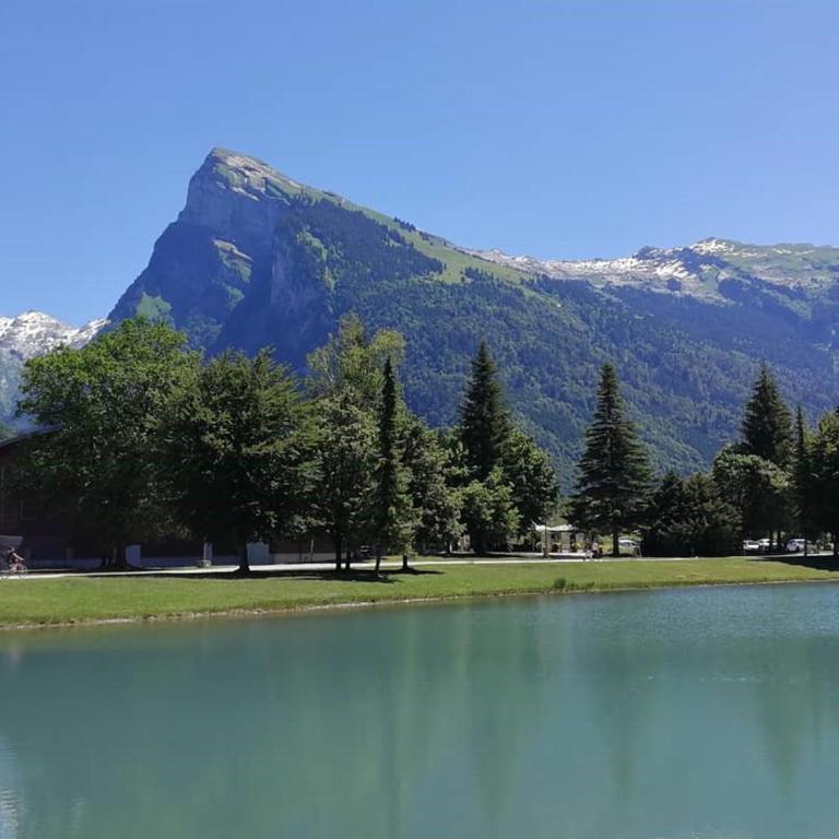 Studio cocooning à Samoëns avec balcon et WiFi au centre - FR-1-624-160 - Monolocale - 7
