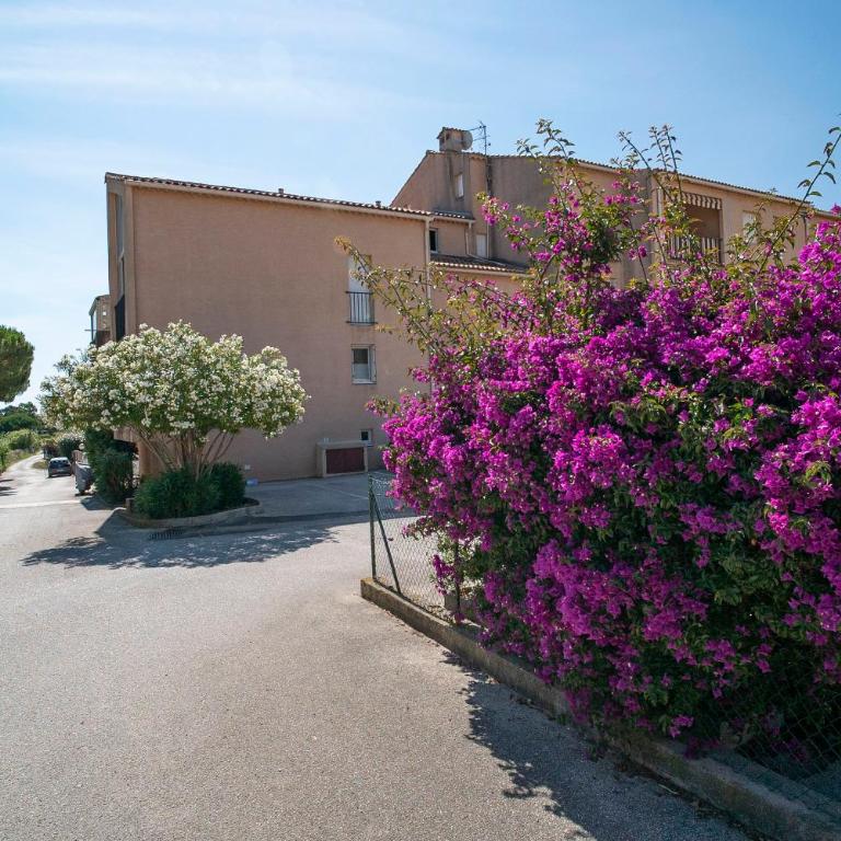 T2 Les Dauphins Giens - One-Bedroom Apartment - 19