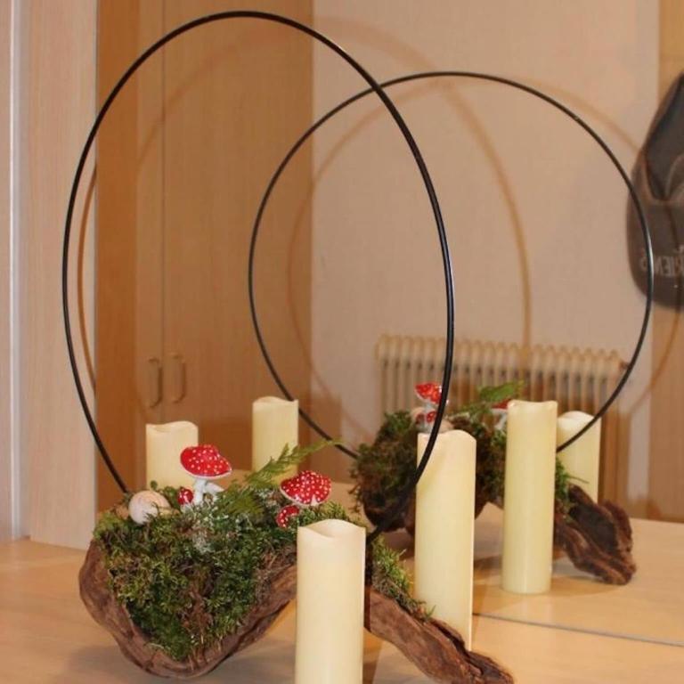 Holiday on an organic farm near ski slopes - Appartement 2 Chambres - 27
